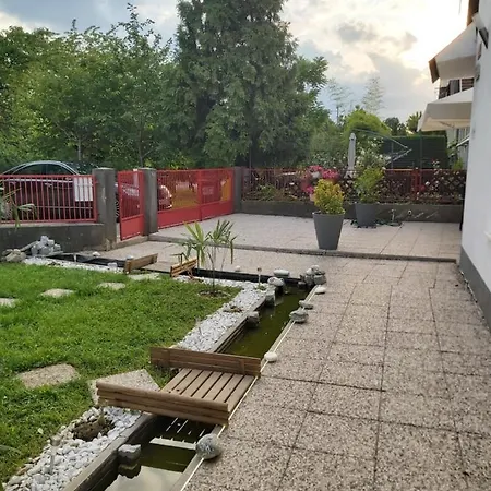 Panda * Maribor