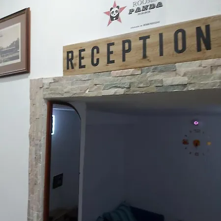 Panda * Maribor