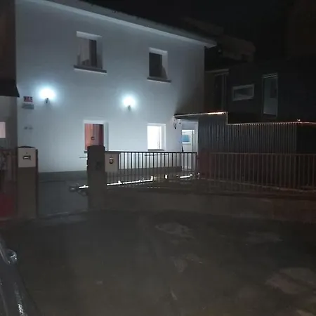 Panda * Maribor
