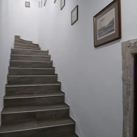 Panda Apartment Maribor