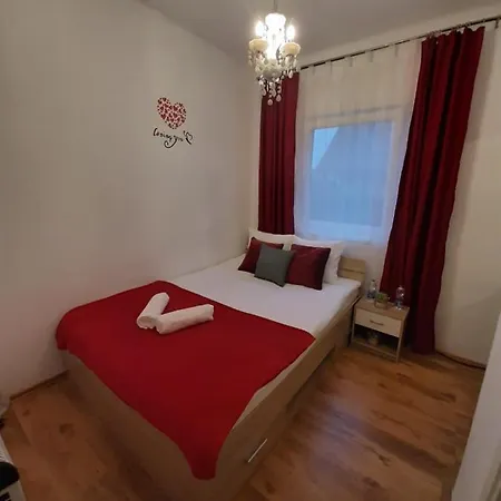 Panda * Maribor